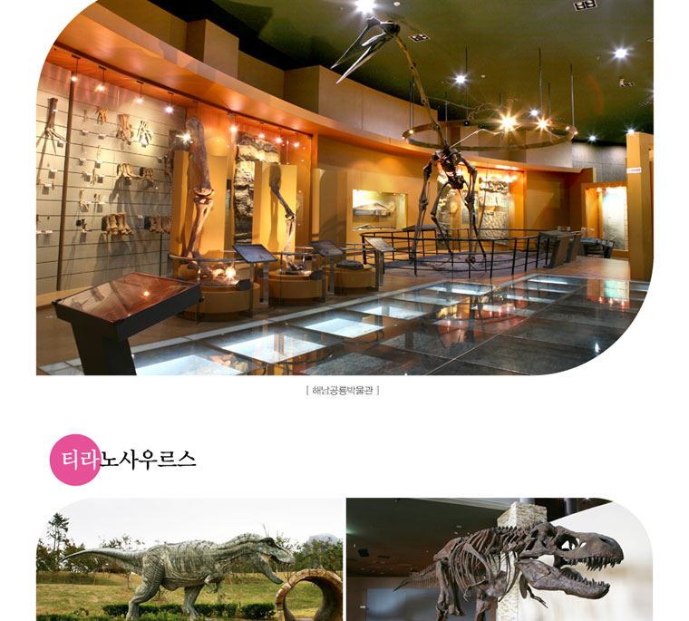 21세기의 백악기 여행-해남공룡박물관